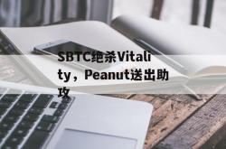 AYX体育赛事-SBTC绝杀Vitality，Peanut送出助攻的简单介绍