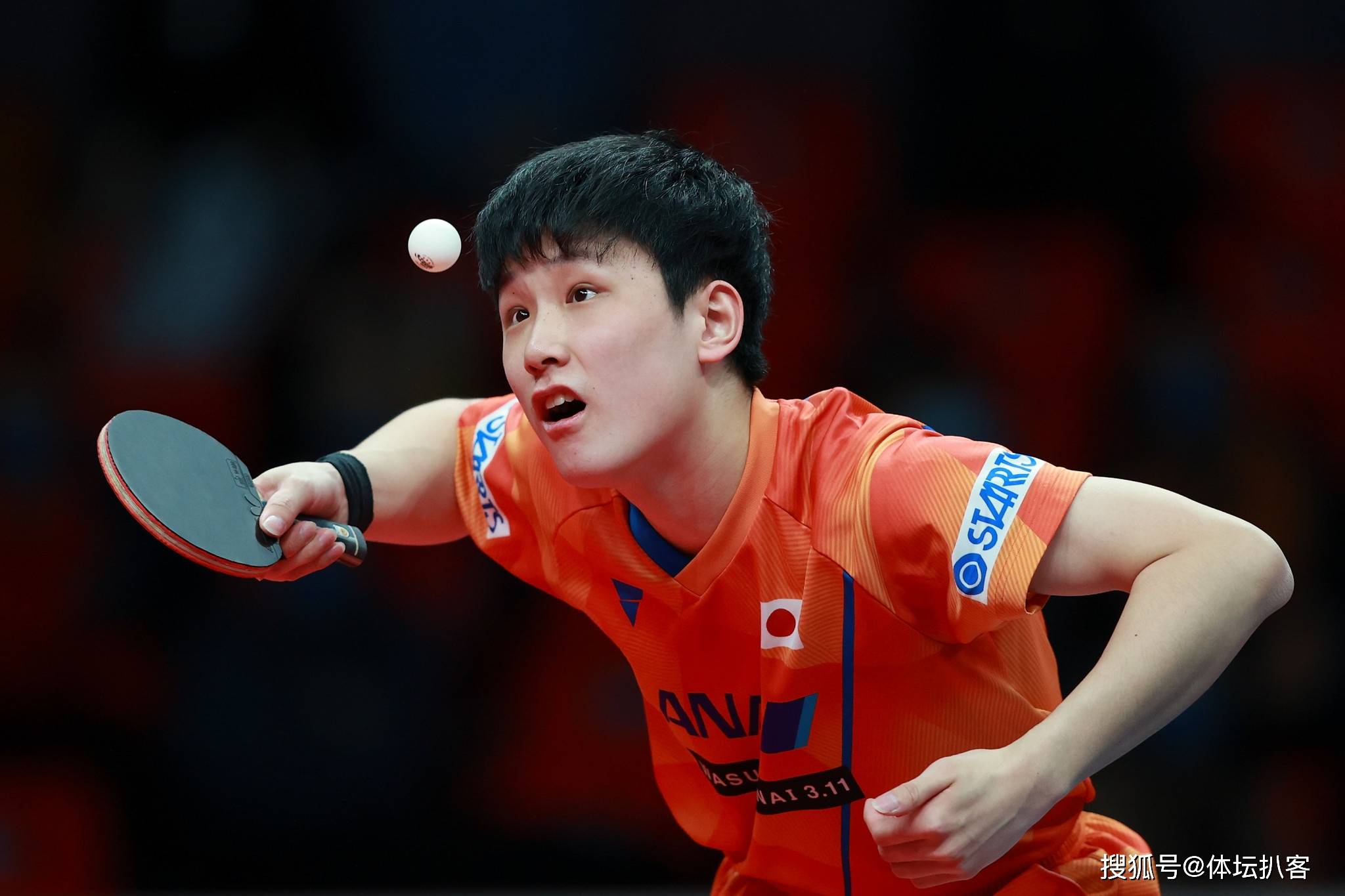 波兰队横扫奥地利队，马龙关键制胜