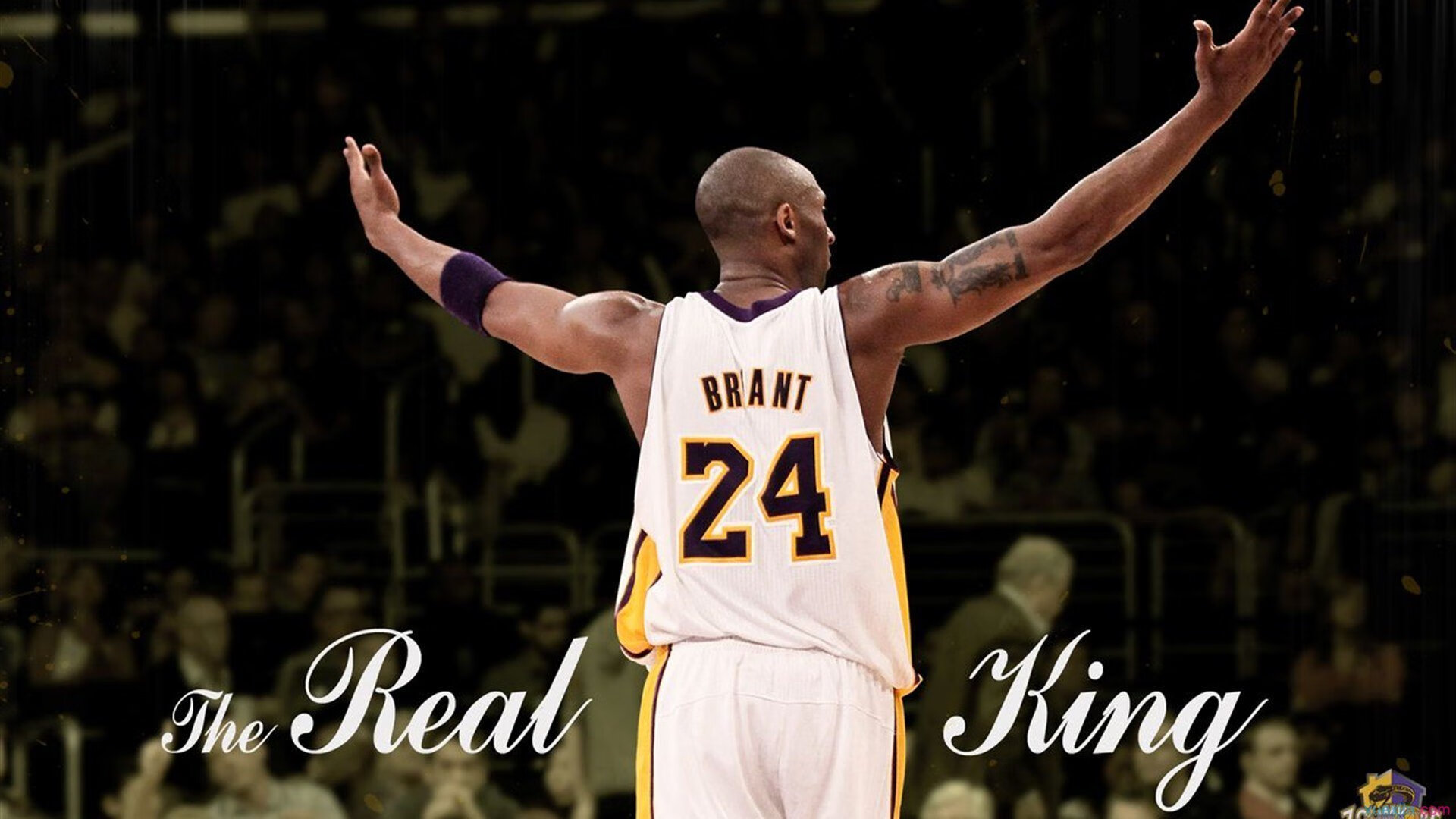 加维关键战不手软，中国一波带走威尔士—当坚韧遇上风暴