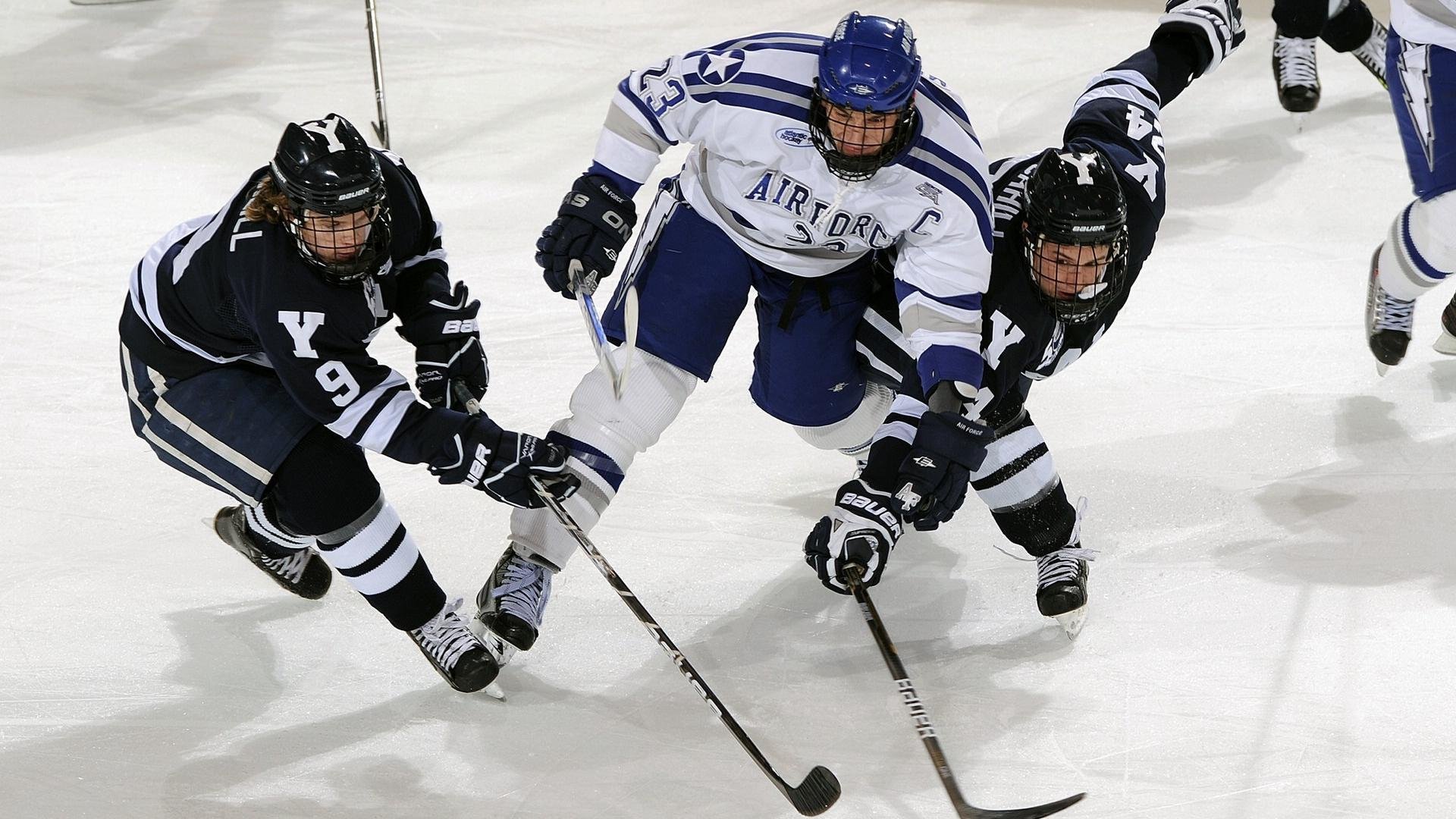 蛰伏与绽放，贝恩的制胜一击如何让黄蜂照亮太阳